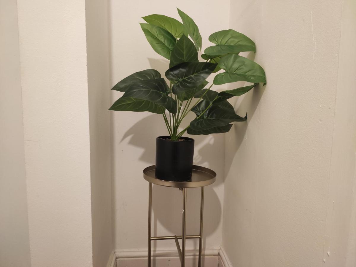 Whitchurch 1 Bedroom Apartment Cardiff Dış mekan fotoğraf